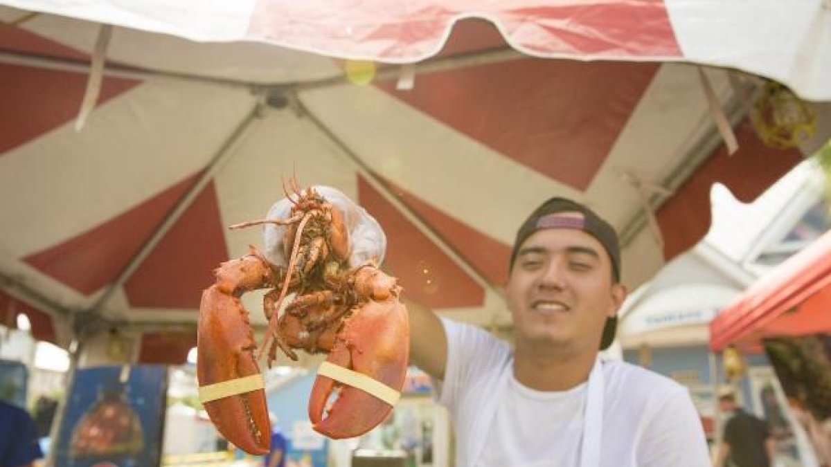 Art and Seafood on the Waterfront 2024 Visit St Petersburg Clearwater